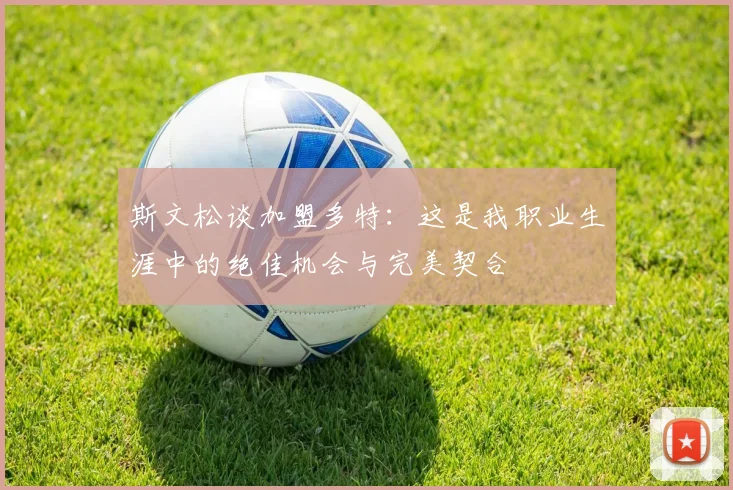 斯文松谈加盟多特：这是我职业生涯中的绝佳机会与完美契合