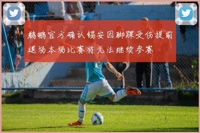 鹈鹕官方确认锡安因脚踝受伤提前退场本场比赛将无法继续参赛