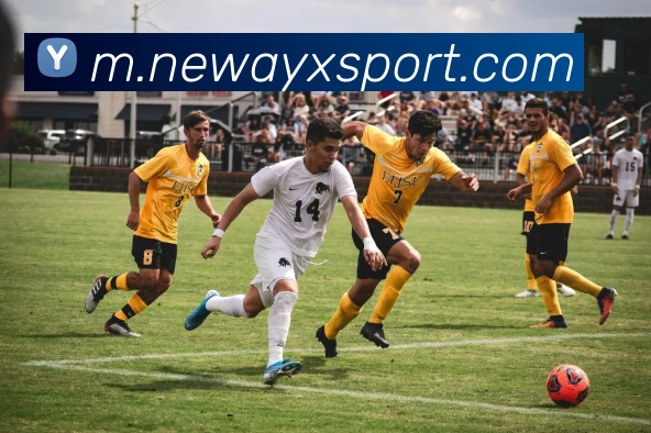 爱游戏体育品牌故事