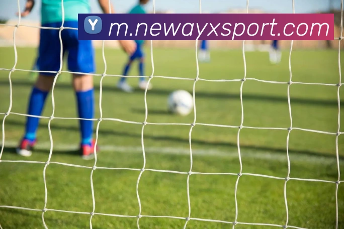 爱游戏体育服务体系